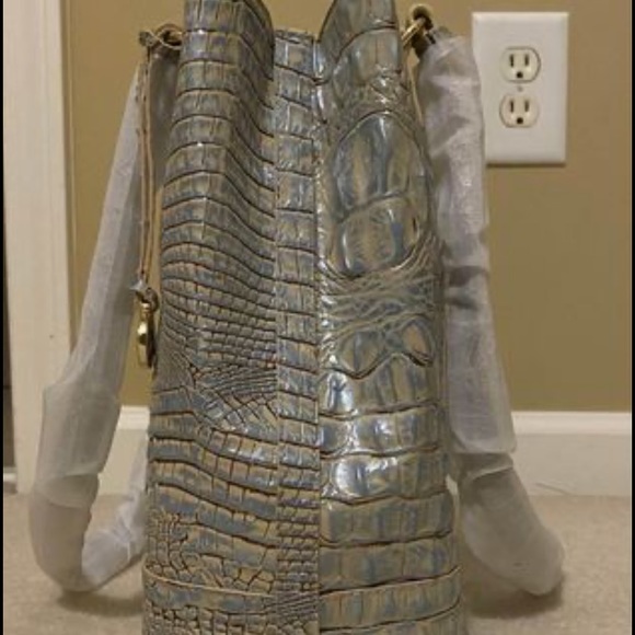 Brahmin - Picture 4 of 7